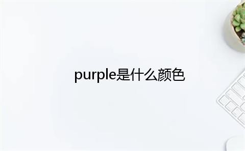 purple是什么颜色 purple是啥意思