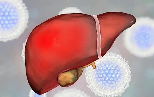 治疗肝癌的偏方有哪些 肝癌早期到晚期要多久