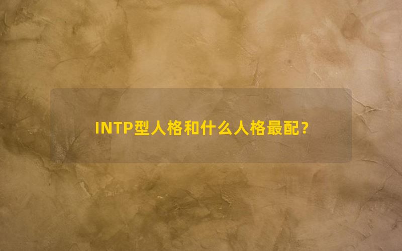 INTP型人格和什么人格最配？